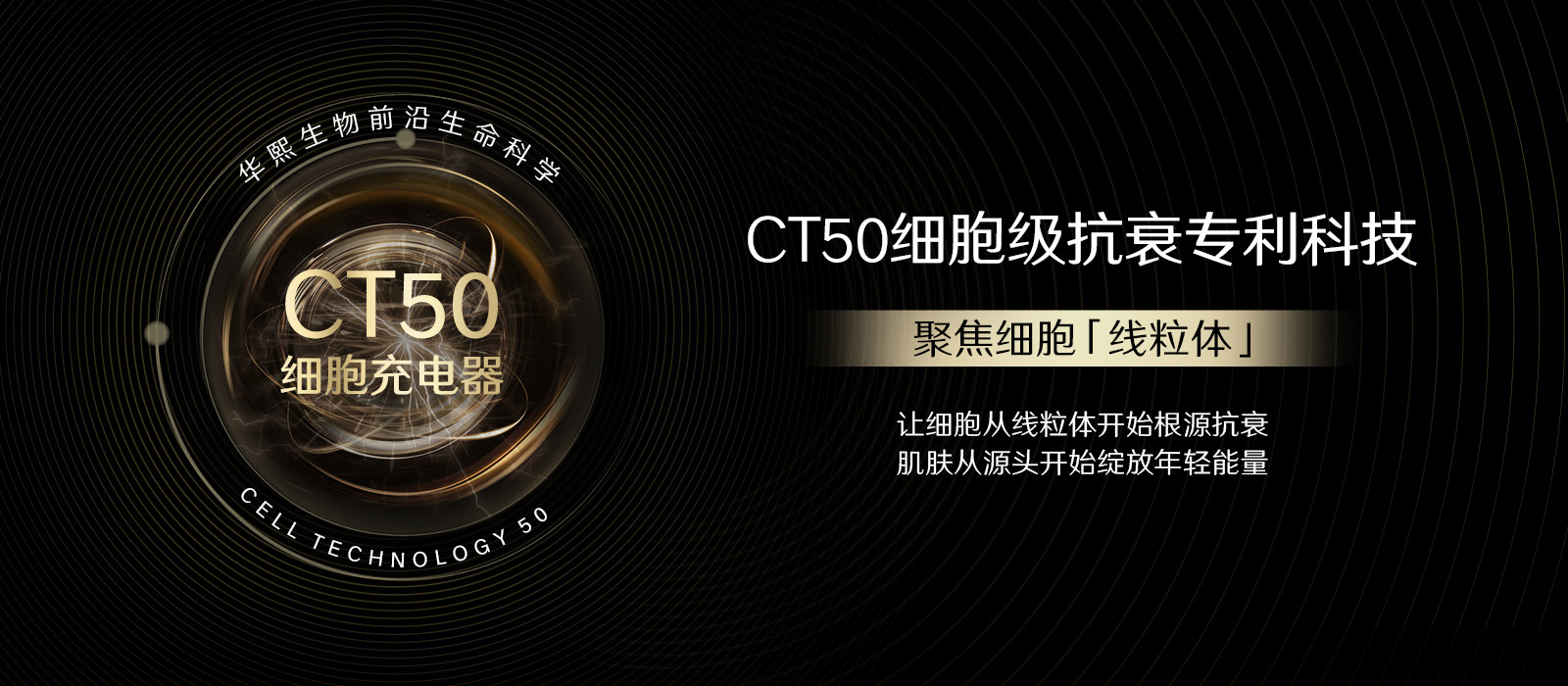 皮肤衰老全链路问题