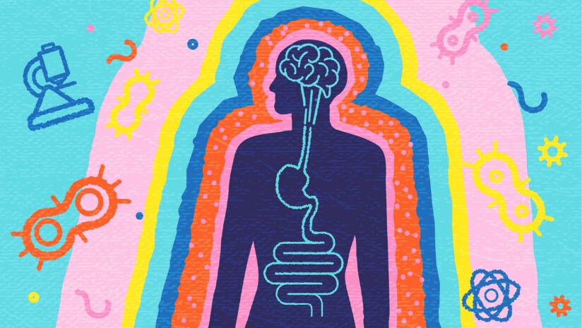 Pushing the envelope of functional dairy innovation