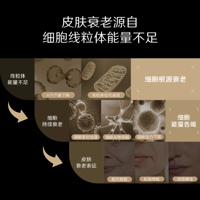 皮肤衰老全链路问题