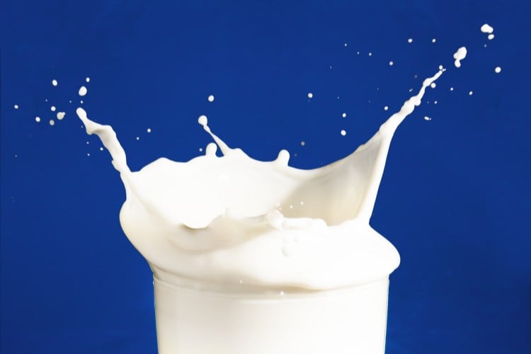 Free webinar: A look at dairy innovations, from precision fermentation to functional ingredients